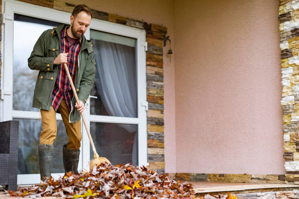 Best Professional Junk Removal  in Zelienople, PA